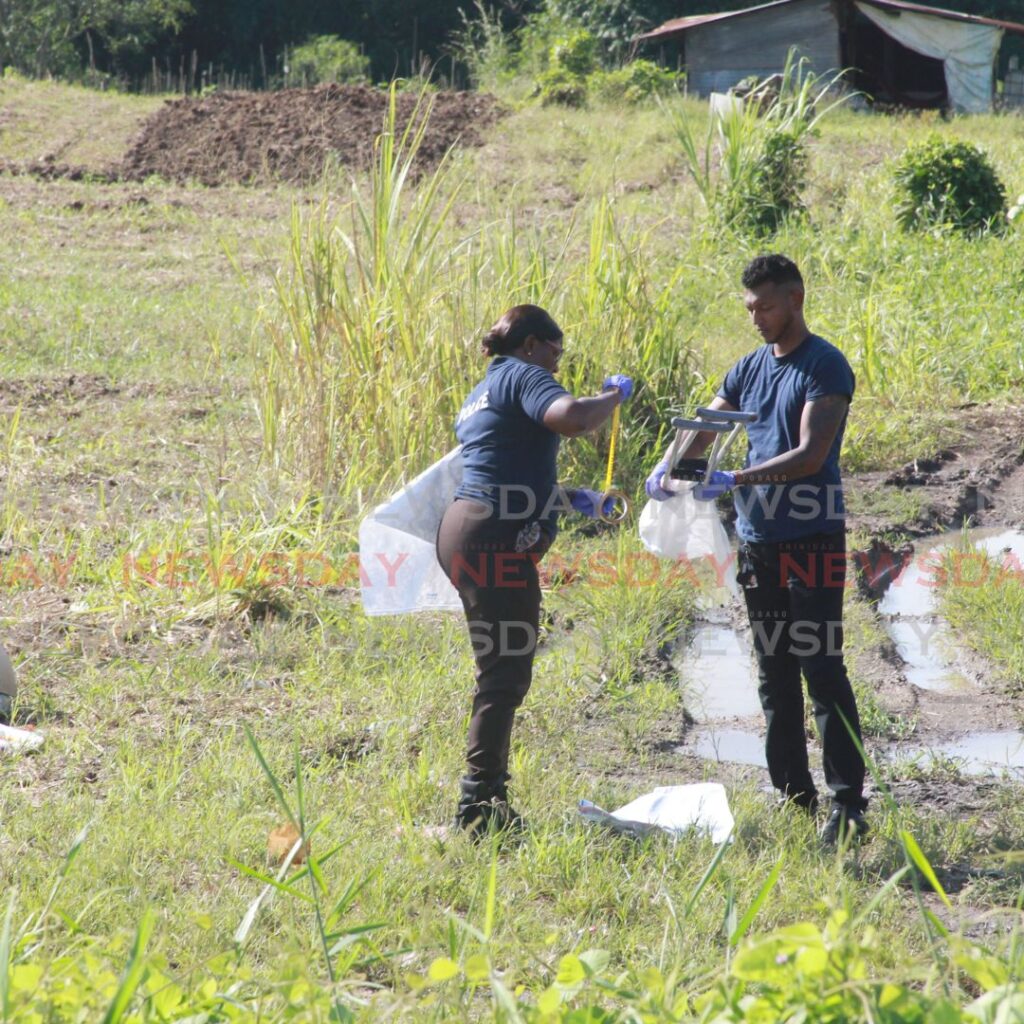 Two police officers secure evidence retrieved from the scene of a double murder along Rivulet Road, Couva. Photo by Lincoln Holder.