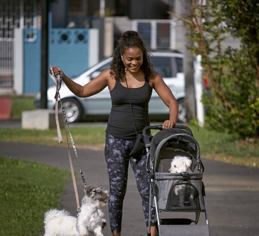 Cassandra Patrick walks her dogs Marley and Ziggy (in stroller) at Windsurf Park in Westmoorings. Patrick says people are always fascinated by seeing someone pushing a dog in a stroller. Photo by Mark Lyndersay