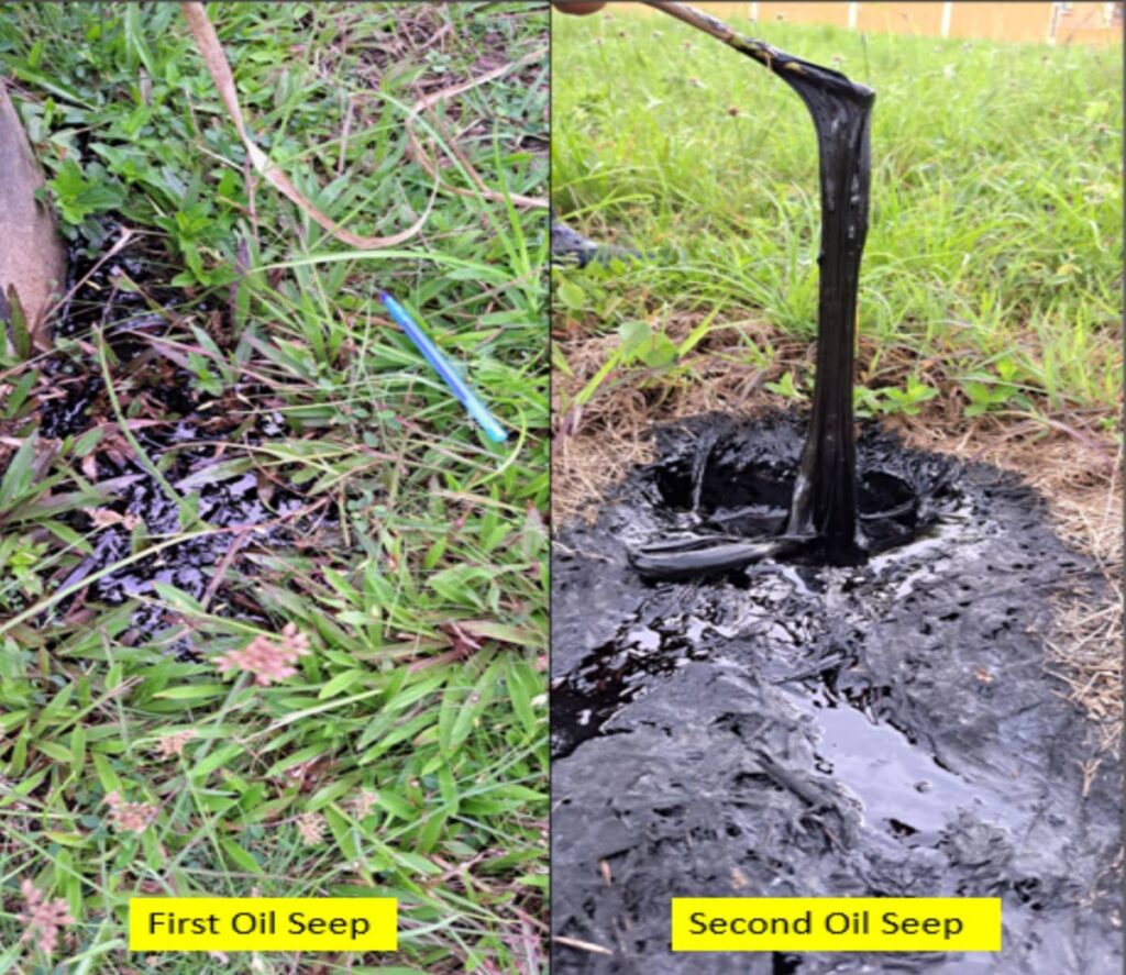 Images showing the first oil seep(left) and the second oil seep (right). - 