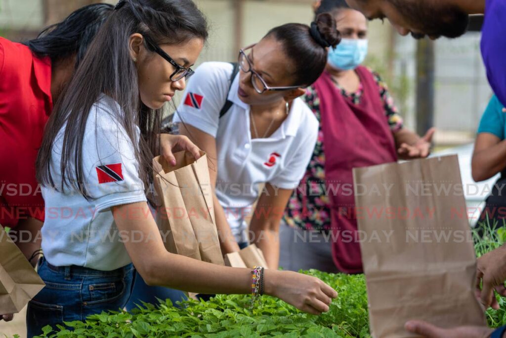 Scotiabank volunteers package and distribute seedlings to members of the Couva community. PHOTO COURTESY SCOTIABANK - Scotiabank