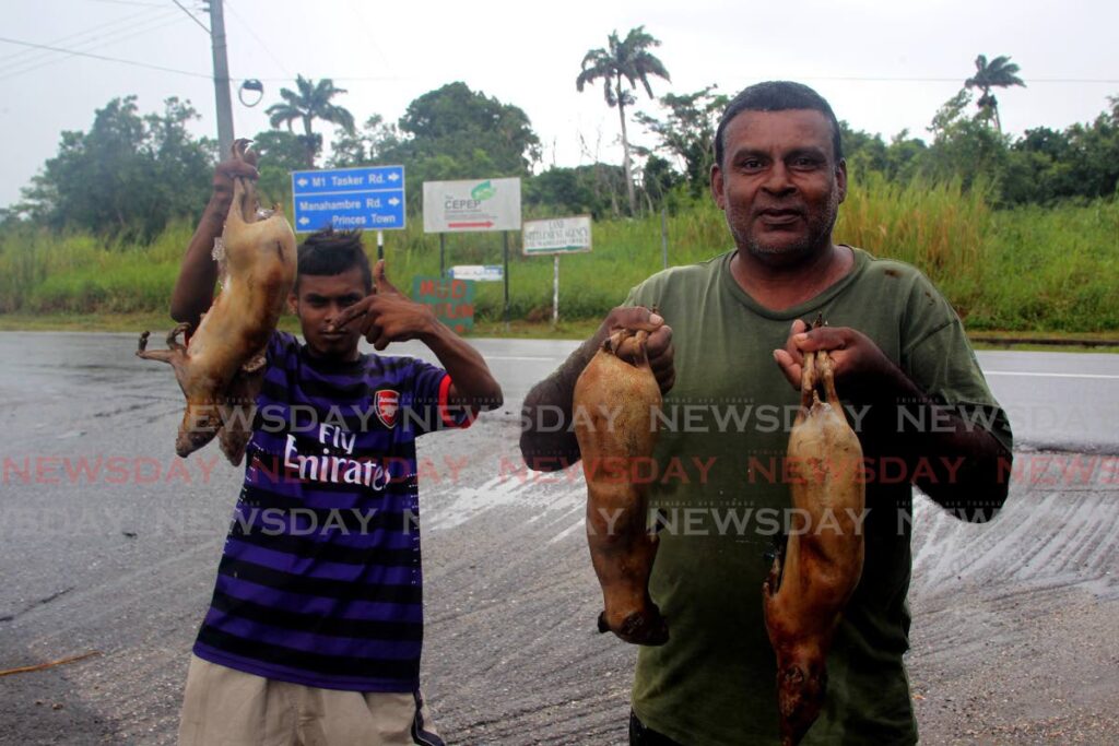 In this file photo, Maniram Ramgolam from Woodland  and Prakash  Zainool  from Debe offer manicou for sale along  along Daisy Road, Princes Town.   - Lincoln Holder