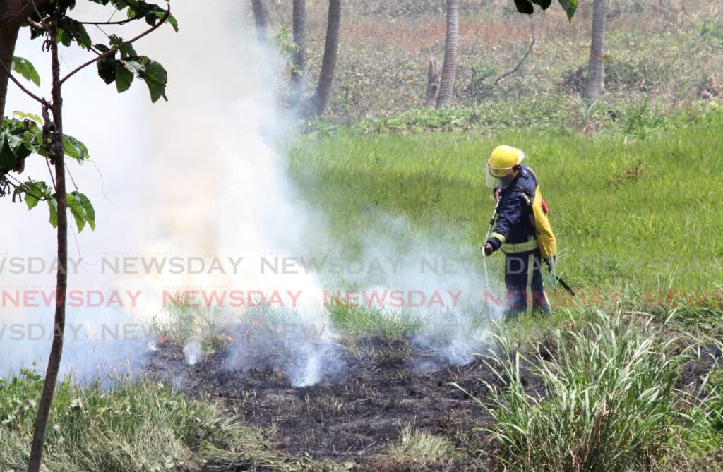 A fireman attends to a bushfire in Toco in this 2021 file photo.  - 