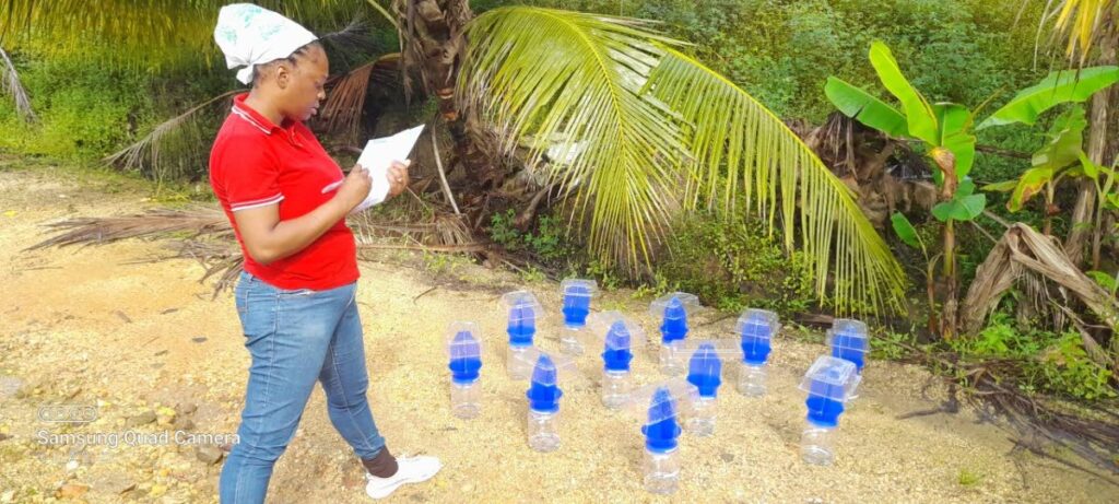 Pollinator traps gathered before deployment in the field. - courtesy TT Field Naturalists' Club