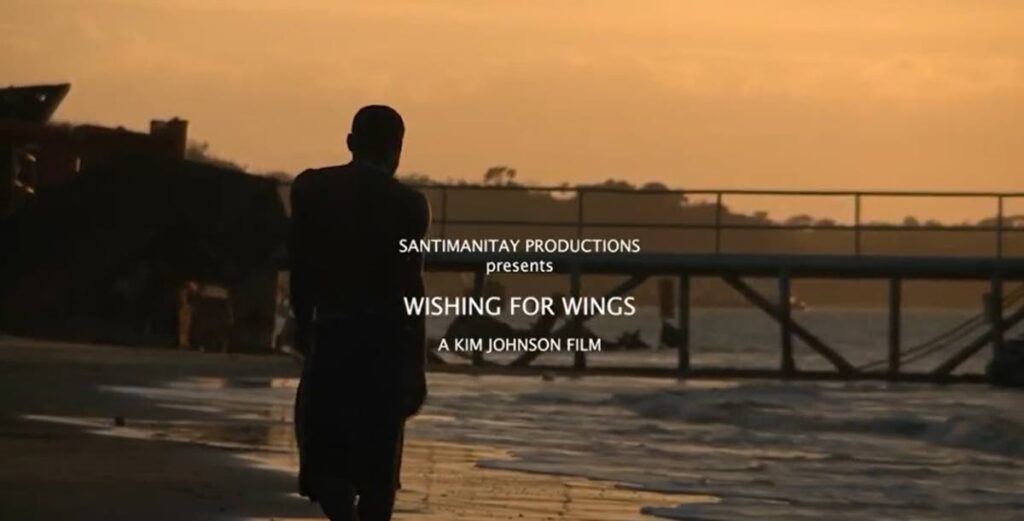A screenshot from the Wishing For Wings documentary trailer.  - 