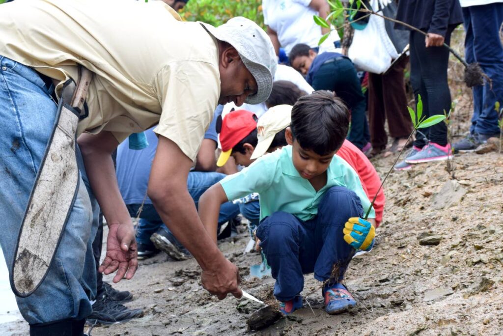 Dr David Persaud, left, Environmental Manager of the Ministry of Planning and Development’s Environmental Policy and Planning Division (EPPD) helps a student plant a mangrove in Caroni as part of a mangrove rehabilitation project, on May 22, 2018. COURTESY MINISTRY OF PLANNING AND DEVELOPMENT - 