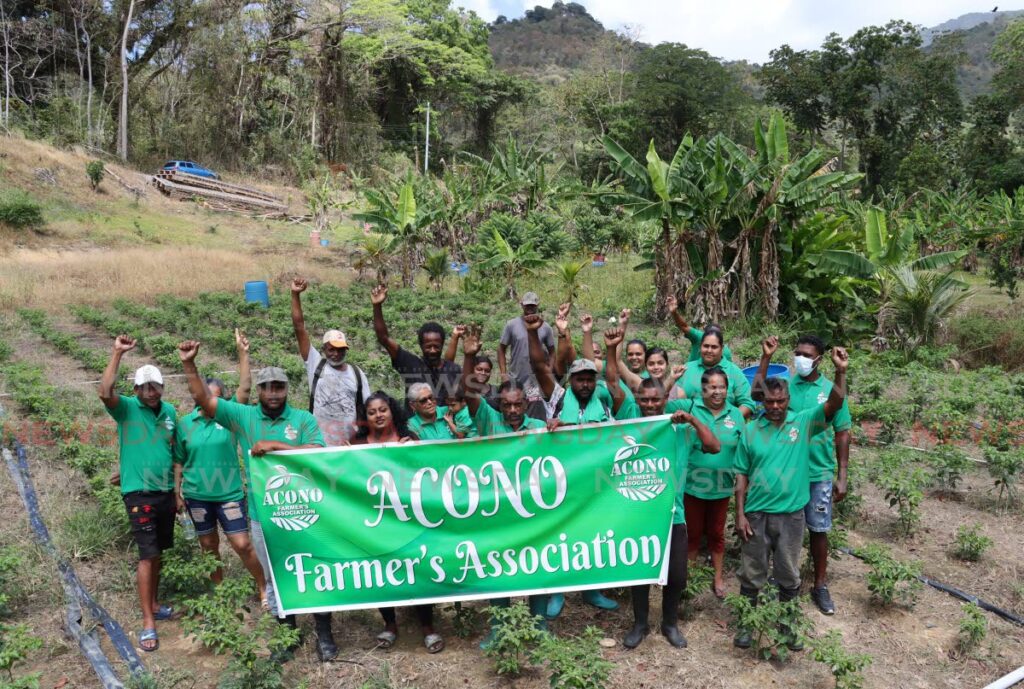 Members of the Acono Farmers' Association claim they have a right to plant on the disputed land.  - ROGER JACOB