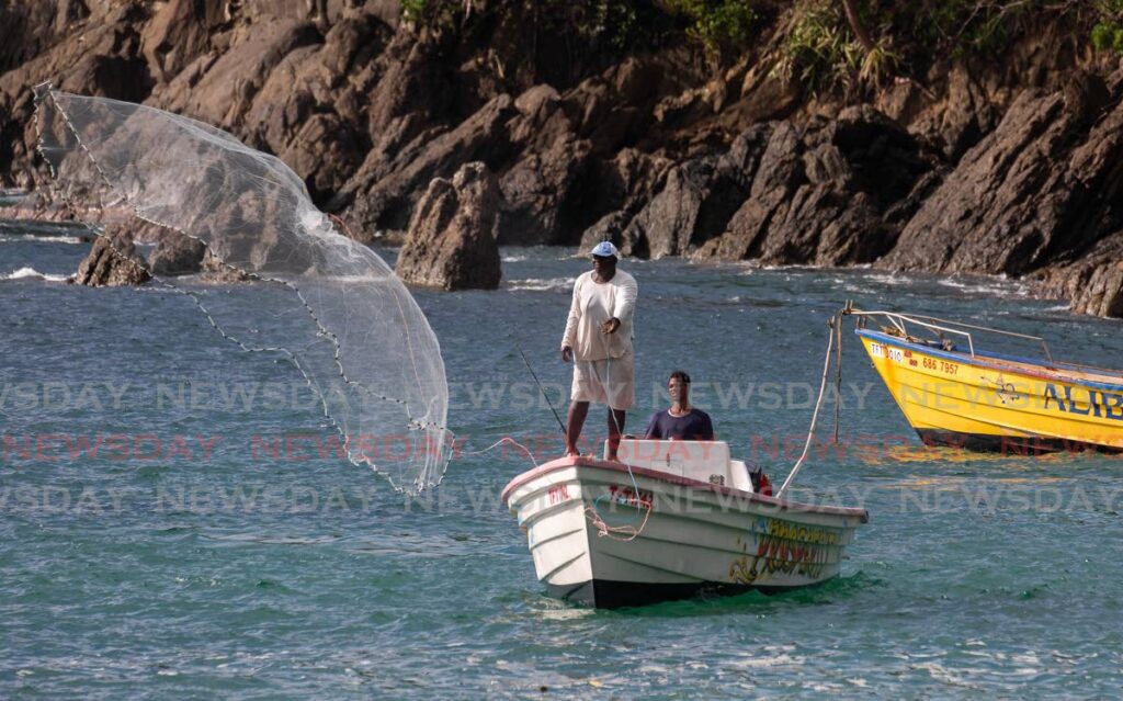 Fishermen cast their net in Castara, Tobago. - File photo/David Reid