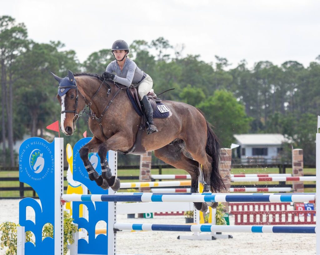 Jaimie Fletcher competing on Gentle Mr Vdm in the 1.10m High Child/Adult Classic Jumper - 