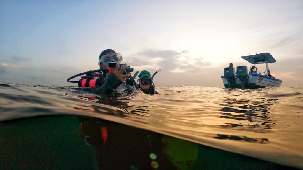  Divers descending at sunset. -  Anjani Ganase