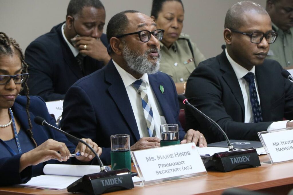 Managing director of the Environmental Management Authority (EMA) Hayden Romano speaks during the Parliamentary meeting on Wednesday. PHOTO COURTESY OFFICE OF THE PARLIAMENT  - OFFICE OF THE PARLIAMENT