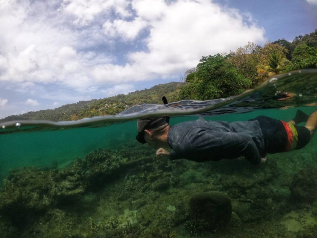 Snorkelling at Turpin’s Reef.  - Anjani Ganase