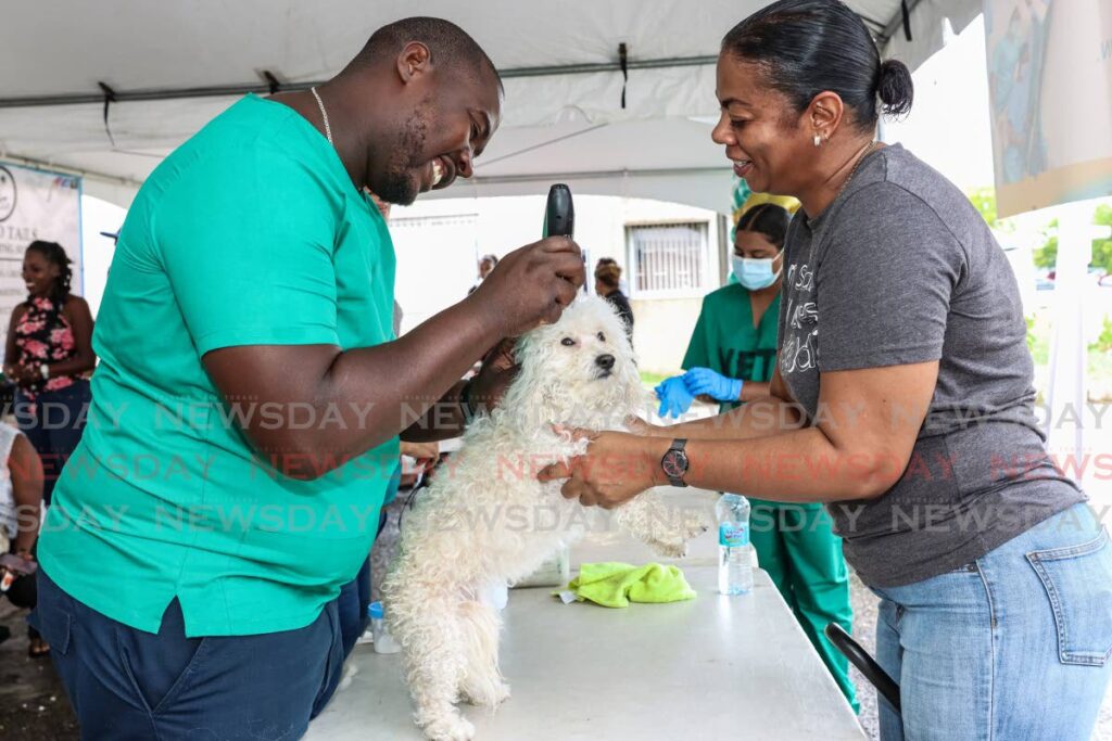 Mark Griffith (left), animal health assistant, treats a scalp injury on Kiki, a four-year-old Bichon Frise with her owner Natascha Ramcharan looking on during the NCRHA Veterinary Hospital at the Eric Williams Medical Sciences Complex's free spa day for pets on April 26.  - Jeff Mayers