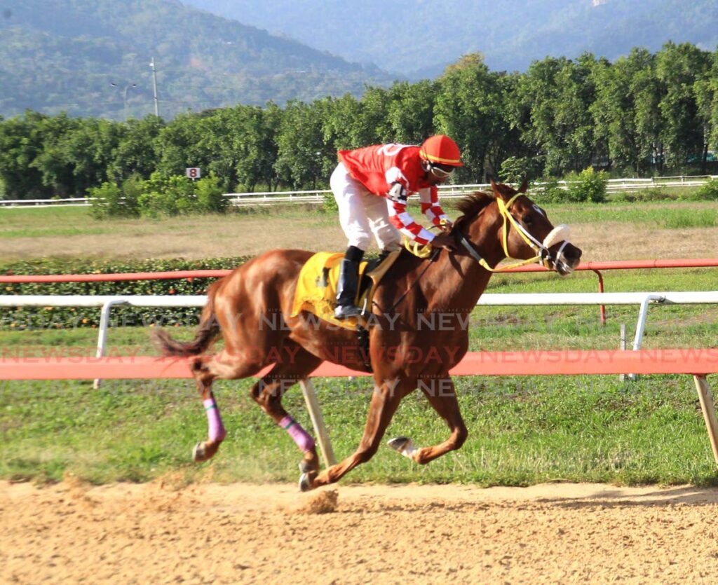 Apprentice Andrew Poon aboard Crown Prince finishes first in the feature race, the modified benchmark handicap for horses three year olds and over, at the Arima Race Club, Santa Rosa on Saturday. - AYANNA KINSALE