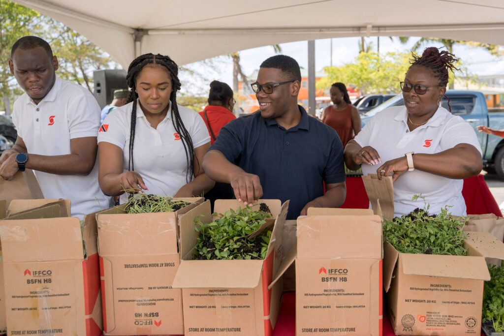 Scotiabank Lowlands, Tobago branch employees package seedlings at the community seedling distribution drive in Tobago in collaboration with the SURE Foundation. PHOTO COURTEST SCOTIABANK 