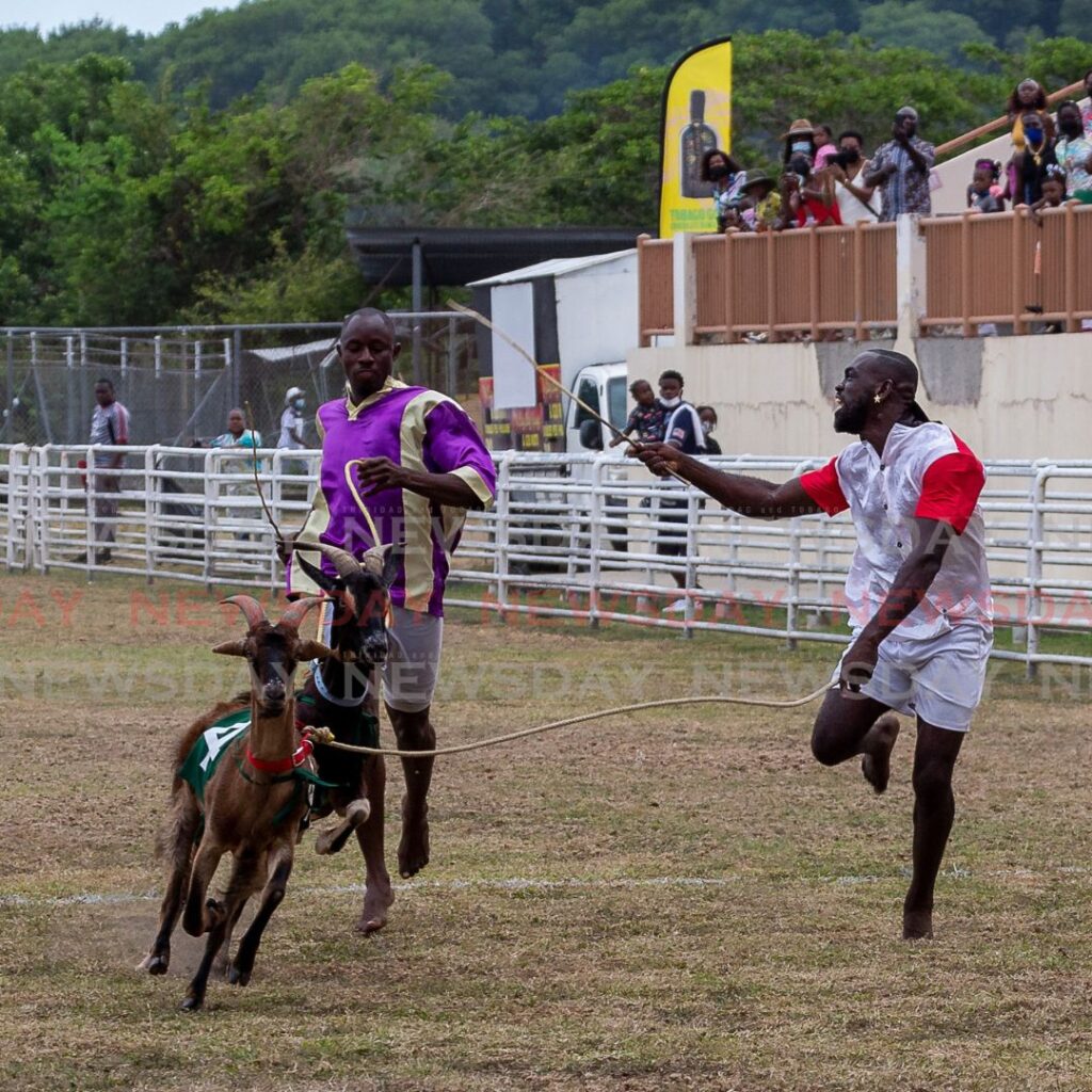 VICTORY: Leroy Kerr, right, celebrates winning goat race six with Gunman in De Whole at A Taste of Buccoo at Buccoo Integrated Facility on Tuesday. - Photo by David Reid 