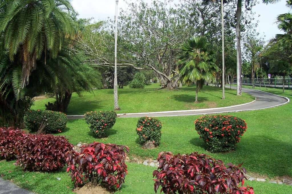 Botanical Gardens port of Spain