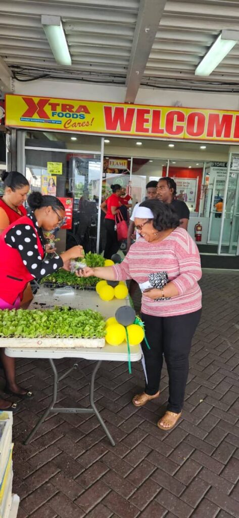 Xtra Foods distributes seedlings to customers in commemoration of corpus christi  - 