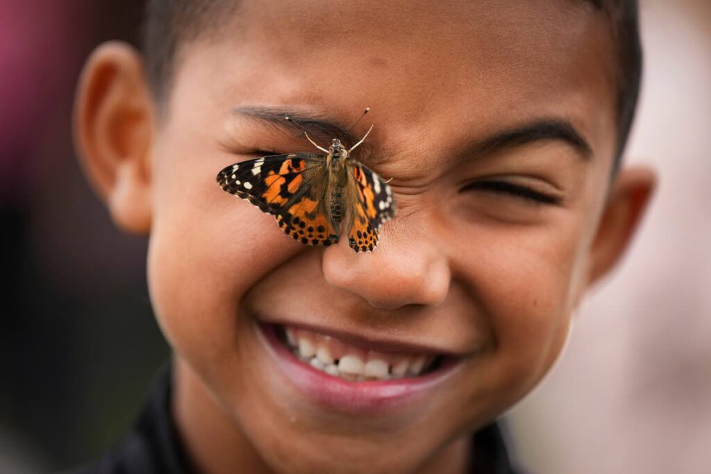 Jonah Sacca, seven, reacts as a butterfly crawls on his face as the second-grader and other elementary students released butterflies at the Surrey Centre Cemetery, in Surrey, British Columbia, Canada. AP PHOTO - 