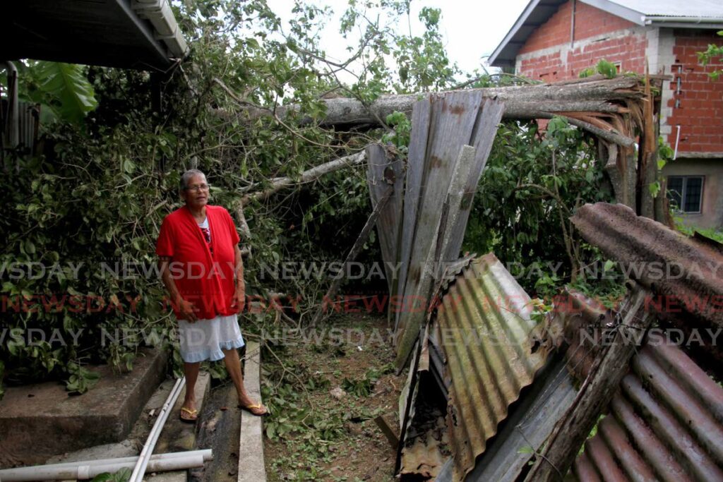 Judy Garcia stands before the fallen treen that damaged her home in Pleasantville on Friday. - AYANNA KINSALE
