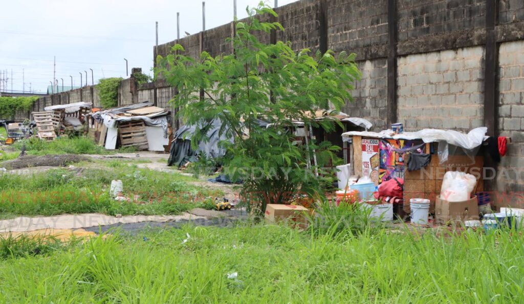 A row of shacks the homeless built behind Riverside Plaza, Port of Spain. - Angelo Marcelle