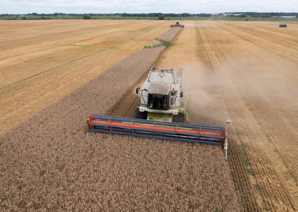 Harvesters collect wheat in the village of Zghurivka, Ukraine. 
(AP Photo) - 