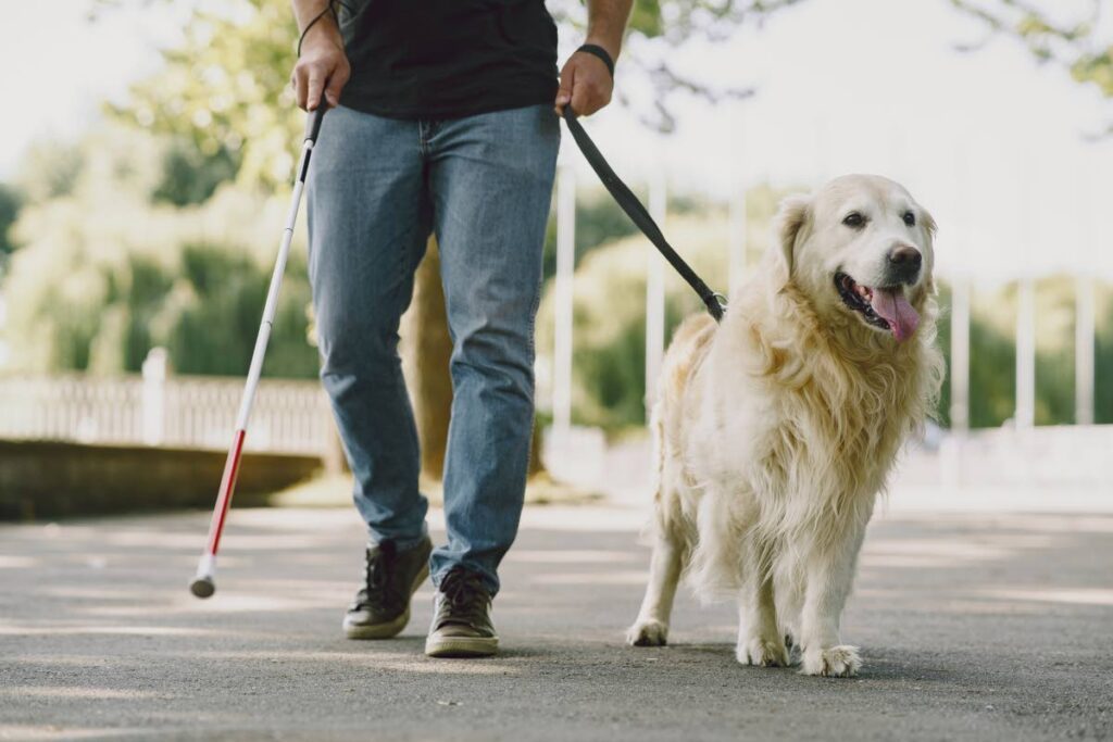 A guide dog helps a blind man through a city.  - Freepik