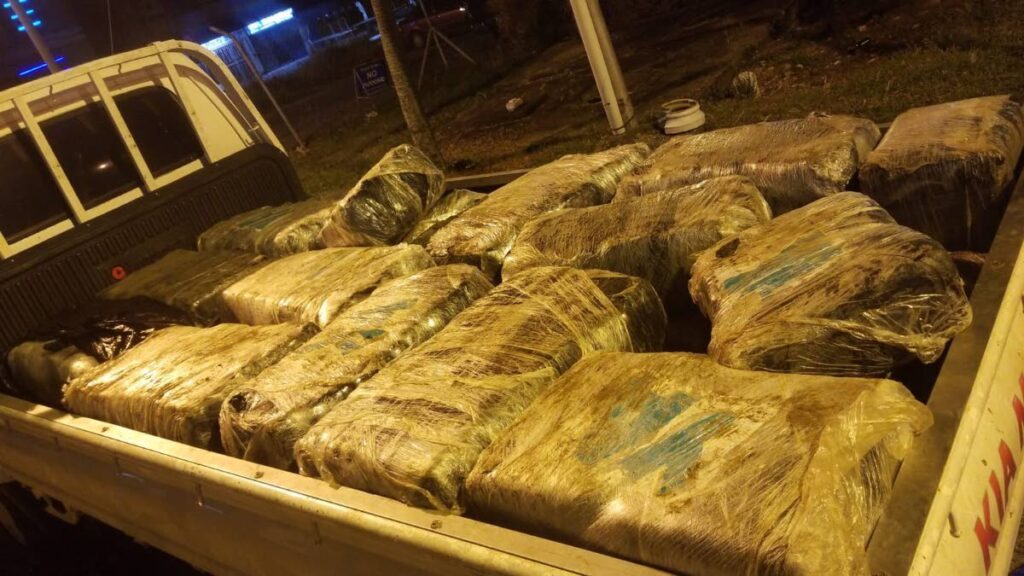 Some of the bales of high-grade marijuana which were seized by police in La Romaine on Wednesday night. - 