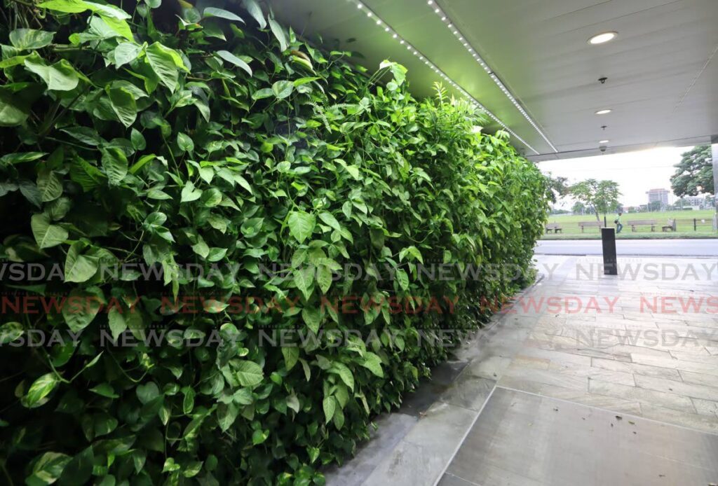The green wall near the main entrance to Savannah East building, Queen’s Park East, Port of Spain. - ROGER JACOB