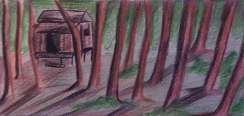 Through the trees the children could see a small shack. - Illustrated by Tyler Villaruel