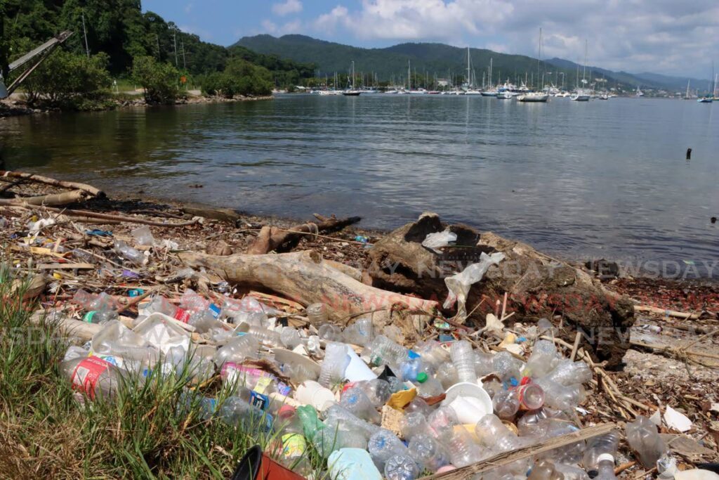 Debris and plastic bottles litter the shores in Chaguaramas. - File Photo by Angelo Marcelle