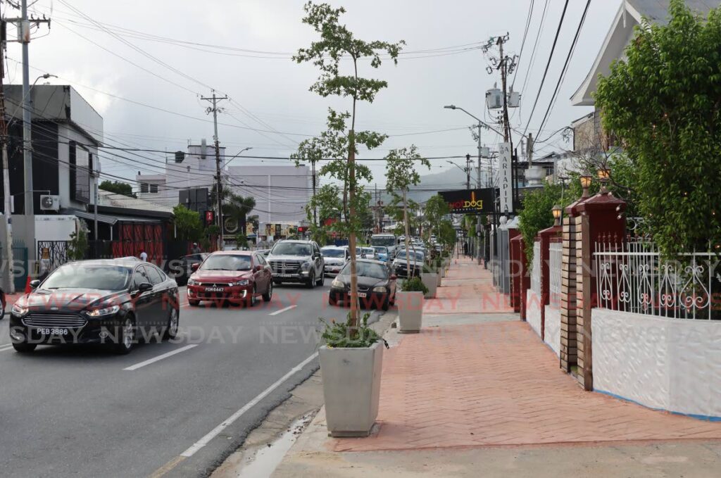 Concrete pots with plants line a section of Ariapita Avenue, Woodbrook.  - ROGER JACOB