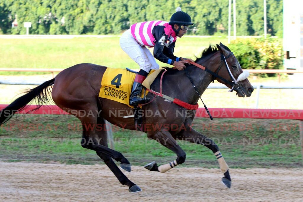 Soca Harmony wins the Stewards Cup at Santa Rosa Park, Arima earlier this month. - Photo by Angelo Marcelle