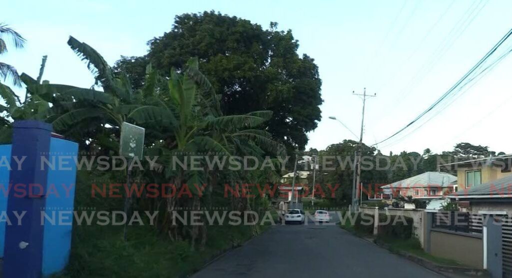 CRIME IN SLEEPY BETHEL: The sleepy, quiet Riseland Trace community in Bethel, Tobago which was rocked by the recent news of arrests by police of several people involved in a prostitution ring which involved minors. Photo by Kinnesha George-Harry
