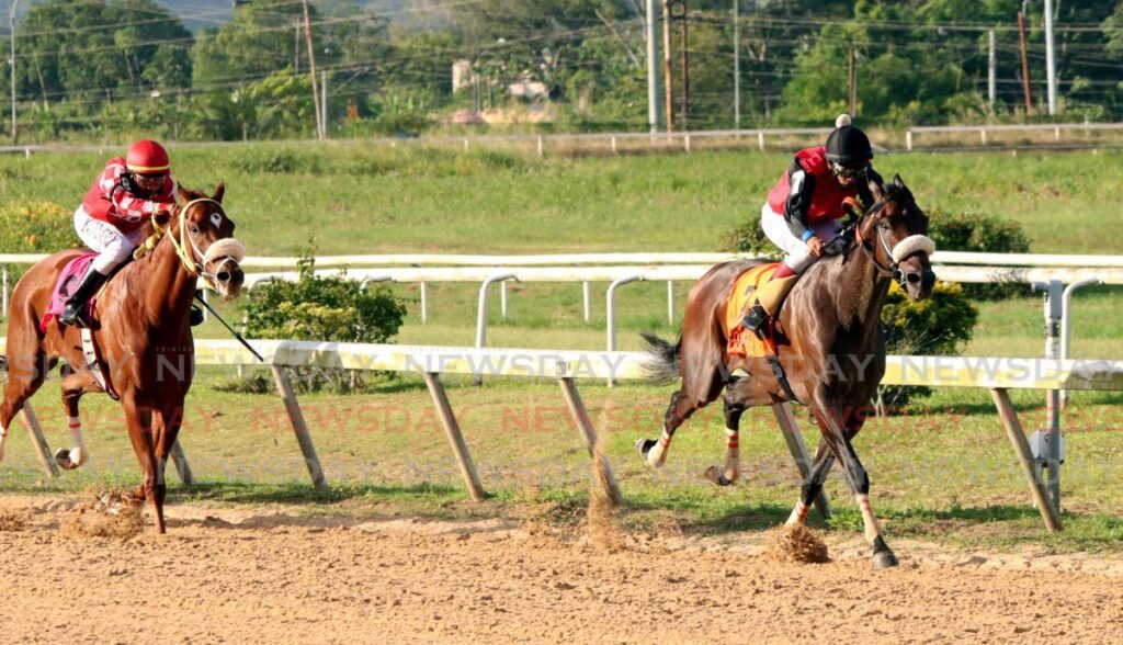 Jockey Brian Boodramsingh rides Hello World to win the Edmund De Freitas Gold Cup at Santa Rosa Park, Arima on Boxing Day.  - Photo by Angelo Marcelle