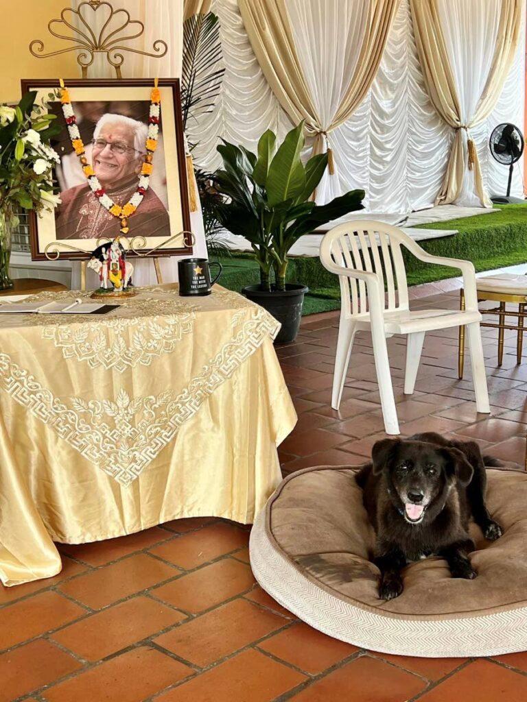 NORMIE’S TRIBUTE: The Panday family’s dog Norman sits next to a photo of late prime minister Basdeo Panday at the family’s Bryan’s Gate, Phillipine home on Monday. Mickela Panday says “Normie” misses his best friend.  
 - Mickela Panday's Facebook page 