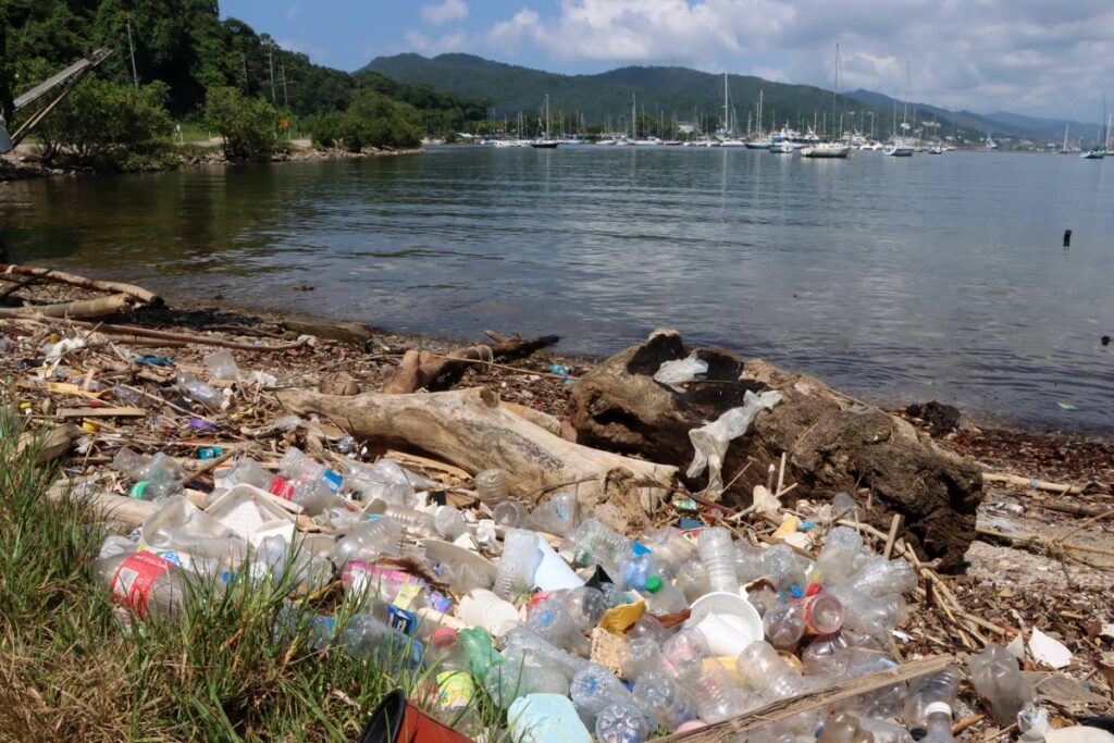 Plastic bottles and debris wash ashore at Chaguaramas. - File photo by Angelo Marcelle