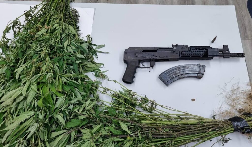 SEIZED: A Draco assault rifle and seven rounds of 7.62 calibre ammunition were seized by police during a marijuana eradication exercise on February 8. - Photo courtesy TTPS