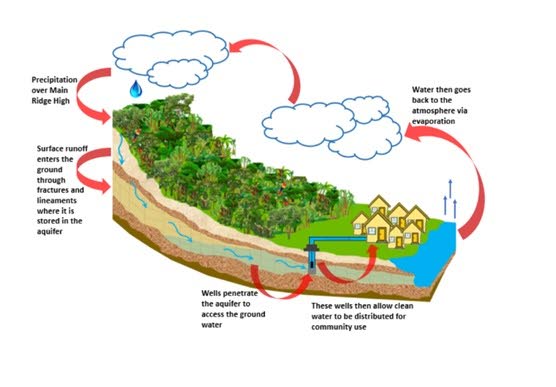 Water cycle across the Main Ridge, Tobago. - Figure courtesy GSTT