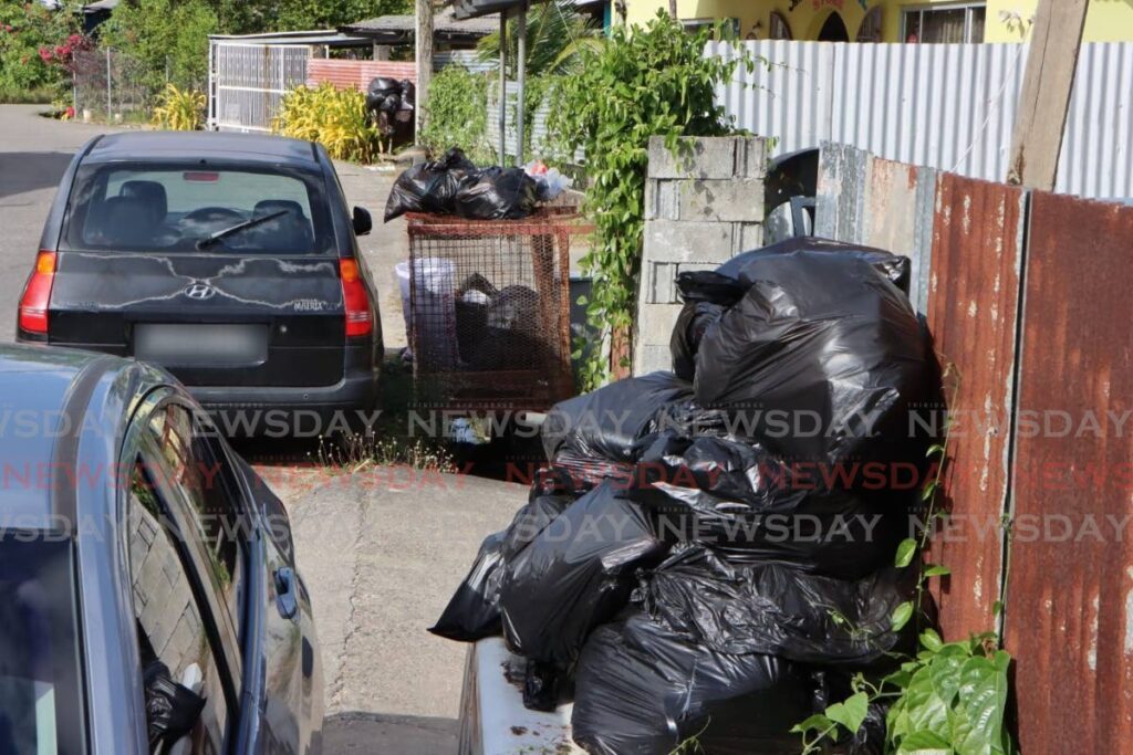 Bags of garbage outside homes on Race Course Road, Carapo, Arima on February 15. - Photo by Angelo Marcelle