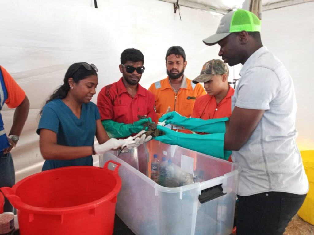 Chief Secretary Farley Augustine, right, helps wildlife specialists clean fuel oil from a young caiman at the wildlife hospital at Petit Trou lagoon on Tuesday. An oil spill caused by the overturned Gulfstream barge on February 7, near Canoe Bay, has affected the flora and fauna on the island's southwestern coast. - 