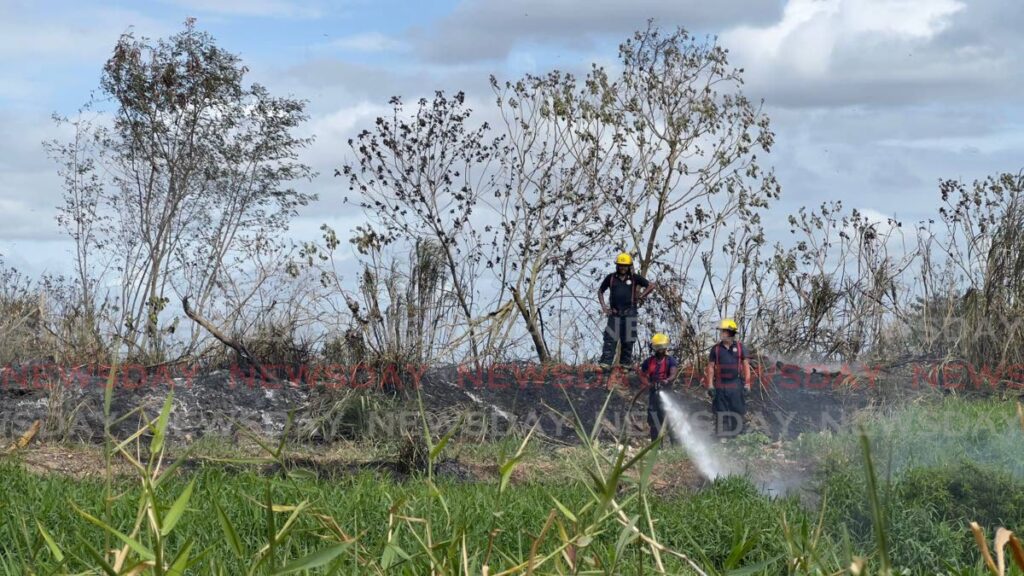 In this file photo, fire officers extinguish a bush fire off the Beetham Highway.  - Photo by Jeff K. Mayers
