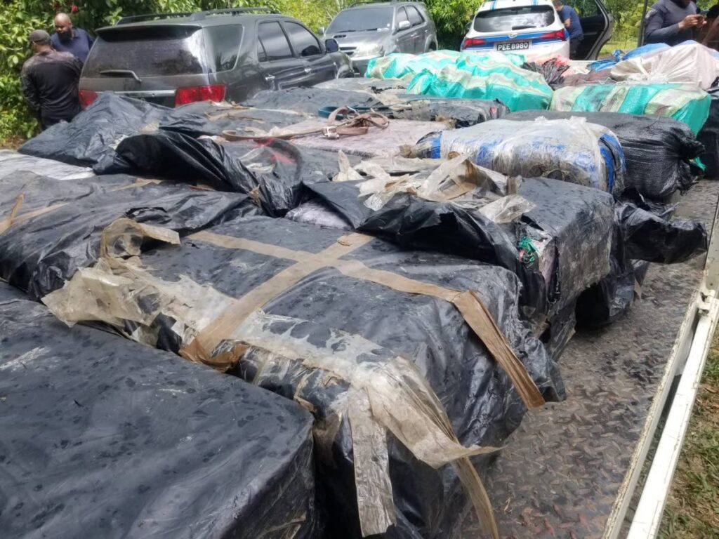 More than a tonne of marijuana found in the forest in Cedros on March 3.  - Photo courtesy TTPS
