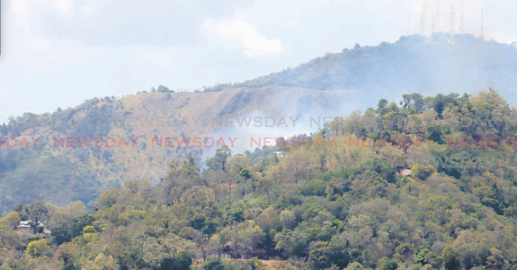 Residents near the hilltop near the Fondes Amandes Reforestation Project have been on high alert after
several close calls with forest fires since the commencement of the dry season, Newsday visited the
area in St Ann's on Thursday. - Photo by Roger Jacob