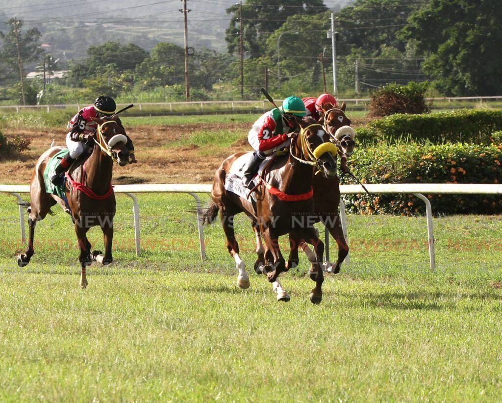 In this August 31, 2023 file photo, jockey Tristan Phillips leads the field during the Independence Cup, at Santa Rosa Park, Arima.  - Photo by Ayanna Kinsale