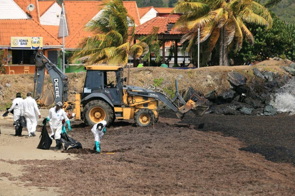 In this file photo, workers help clean up the shoreline at Canoe Bay, Tobago after hydrocarbons from a capsizied barge polluted the ocean. - THA