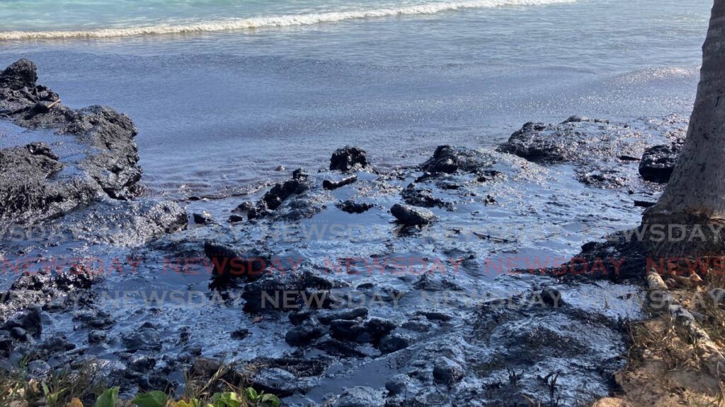 This photo, taken in February, shows the shoreline at Canoe Bay covered with oil which leaked from the wrecked barge, the Gulfstream. - FILE PHOTO 