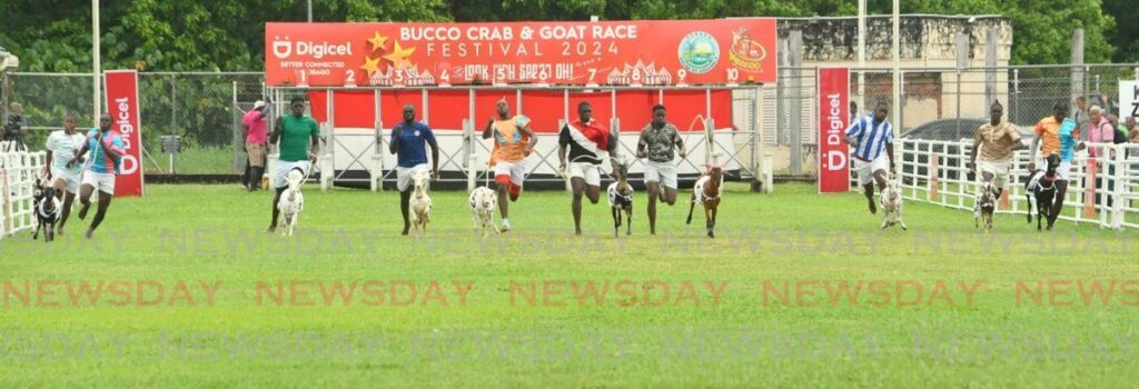Goats and their jockeys raced down the track during the Buccoo Goat and Crab Race Festival at the Buccoo Integrated Facility in Tobago on April 2. - Photo by Corey Connelly