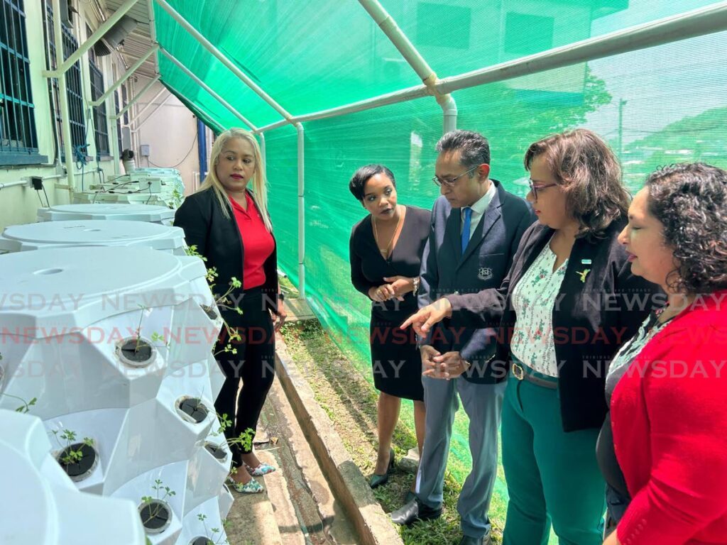 (L-R) Digicel Foundation Director Pamela Sankar, Shell TT performance and social investment advisor Ryssa Brathwaite, Naparima College acting principal Roger Ali, and Naparima College science department head Hema Jaggernauth view some of the hydroponic towers following the launch of the school's green initiative - Photo by Rishard Khan
