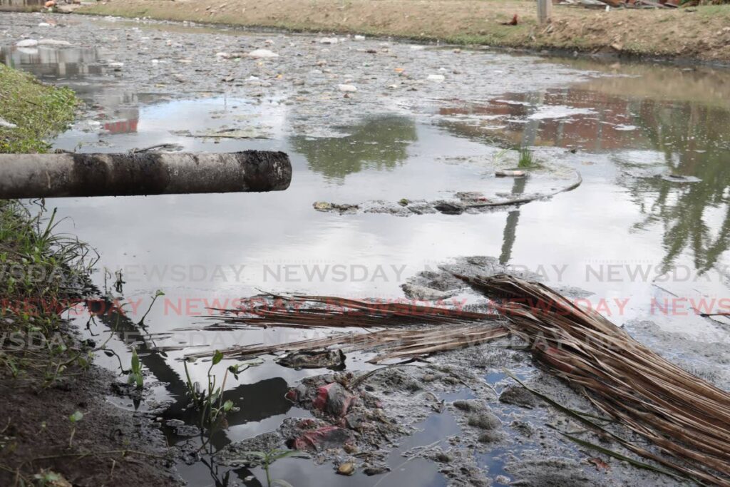 A pipe above the rubbish-filled canal in Beetham Gardens. - Photo by Venessa Mohammed