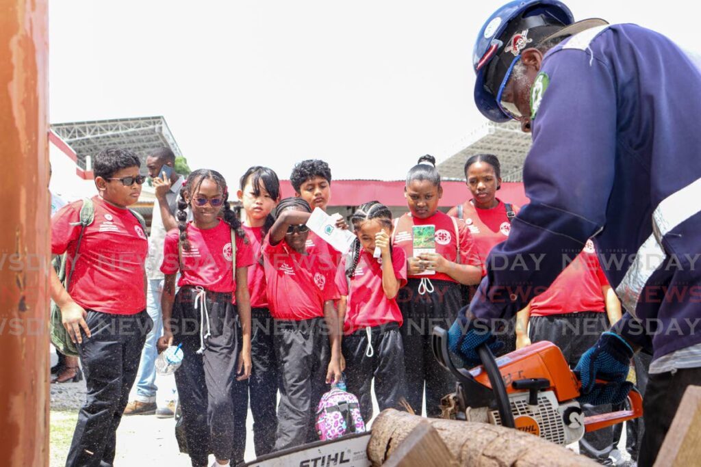 A worker from Ministry of Agriculture, Land and Fisheries shows students from Sevilla Private Primary School  how to cut a tree in case of an emergency during the special day commemorating International Red Cross Day at the Henry Dunant Clinic, Port of Spain on Wednesday. - Photo by Grevic Alvarado